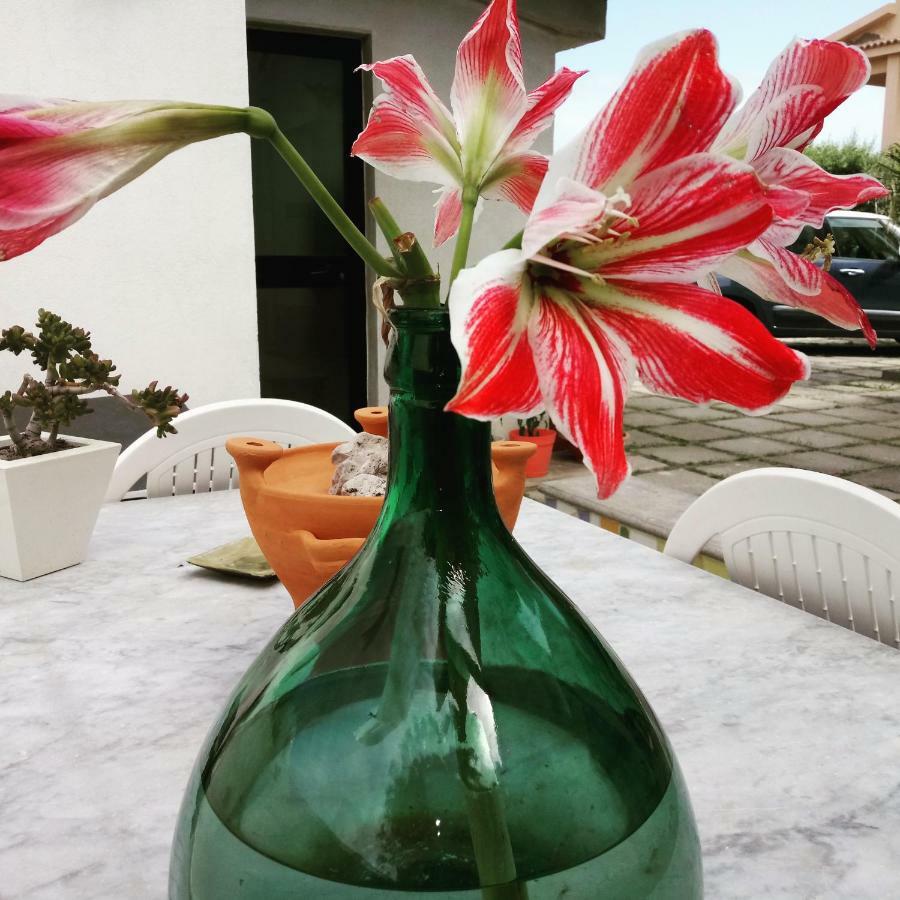 Idria B&B Barcellona-Pozzo di Gotto Ngoại thất bức ảnh